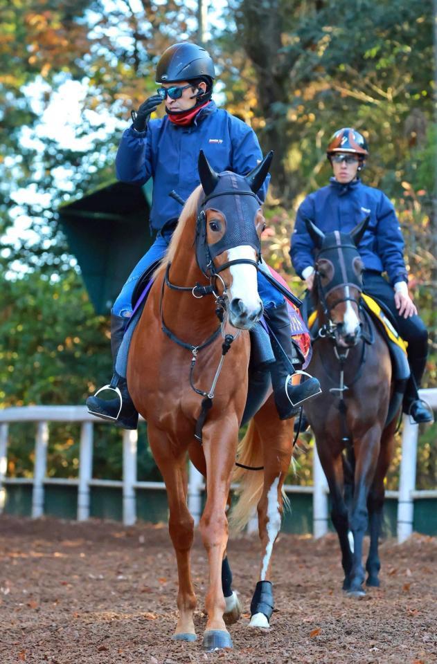 　京王杯２歳Ｓからの連勝で戴冠を狙うダイヤモンドノット（撮影・石湯恒介）