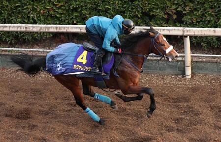 　万全の調整過程で本番へ向かうカヴァレリッツォ