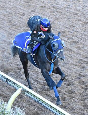 　美浦坂路で追い切られたリアライズシリウス（撮影・持木克友）