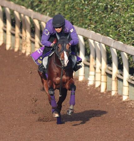 　栗東坂路を軽快に駆け上がったアドマイヤクワッズ（撮影・中田匡峻）