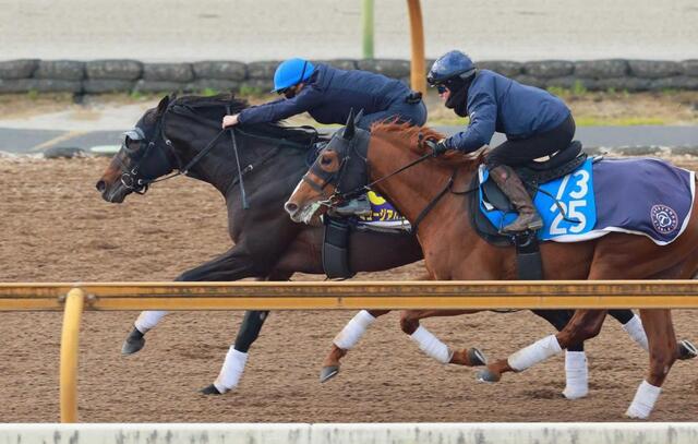 有馬記念】ミュージアムマイル 驚速自己ベスト6F78秒5“限界突破