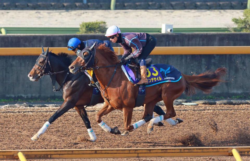 　栗東ＣＷで追い切るダノンデサイル（右）