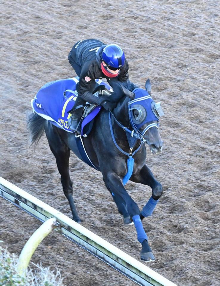 　美浦坂路で追い切られたリアライズシリウス（撮影・持木克友）