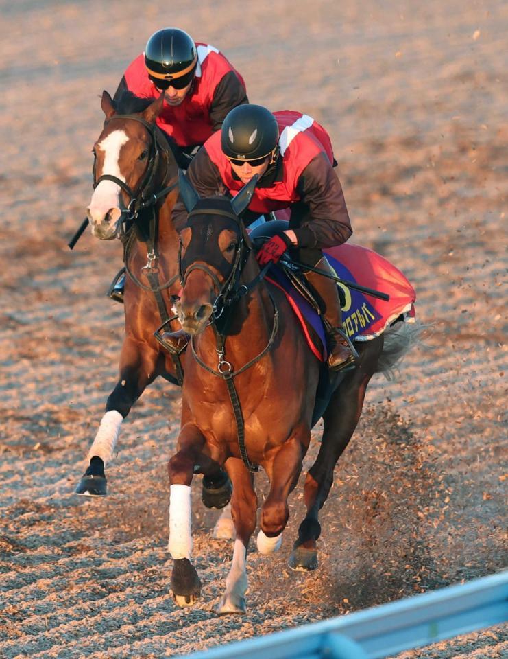 　併せ馬で僚馬を突き放したエコロアルバ（手前）