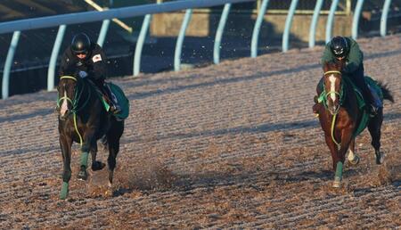 　岩田を背にウッドチップコースでヤコブセンを突き放すオルフセン（左）