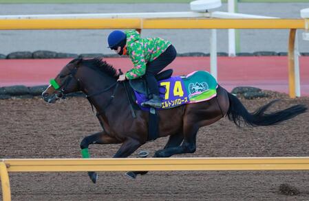 　西村を背に栗東ＣＷで追い切るエルトンバローズ（撮影・石湯恒介）