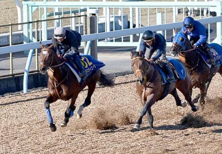 　３頭併せで活気のある走りを見せたタスティエーラ（左）＝撮影・持木克友