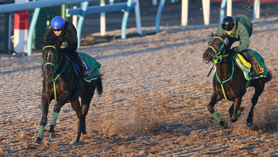 　斎藤を背にウッドチップコースでタマカヅラを突き放すジーネキング（左）