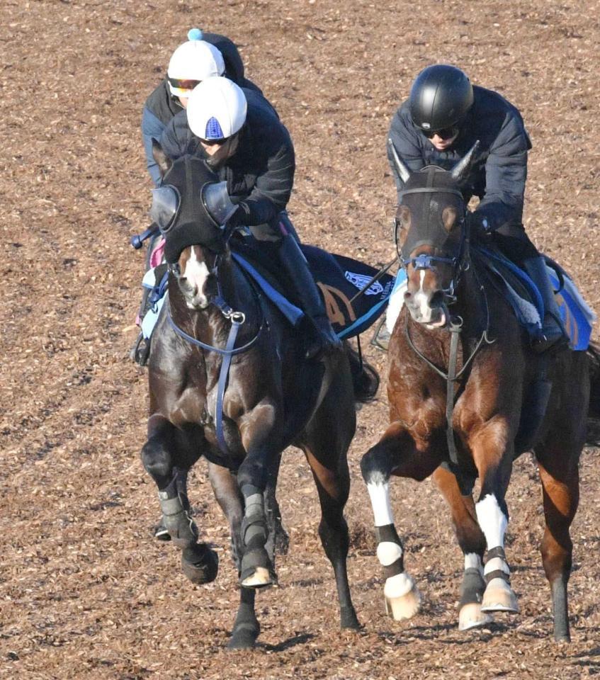 　入念な乗り込みで初戦に臨むランブルスコ（左）＝撮影・持木克友