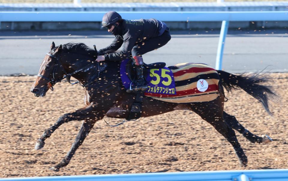　ウッドチップコースで追われるフォルテアンジェロ