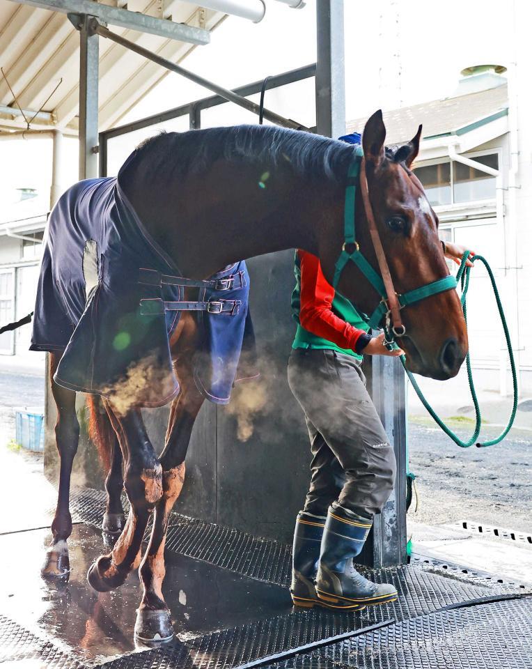 　サンライズジパング