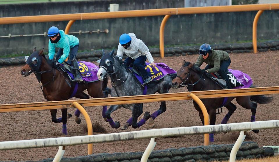 　栗東ＣＷで追い切るアドマイヤテラ（中央）＝撮影・石湯恒介