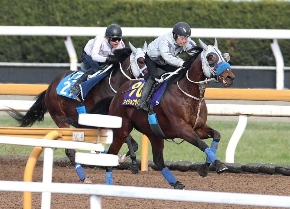 　春秋グランプリ連覇へ状態を上げてきたメイショウタバル（右）＝撮影・中田匡峻