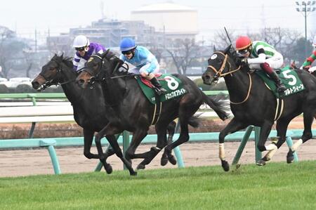 　ターコイズＳを制したドロップオブライト（左から２頭目）（青帽）＝撮影・持木克友