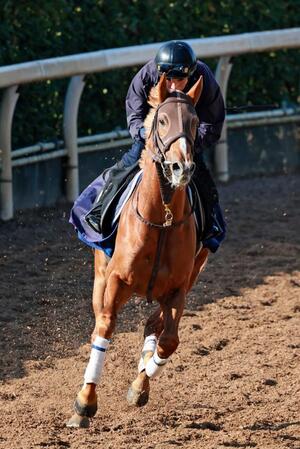 　ビザンチンドリーム＝２０２４年１月