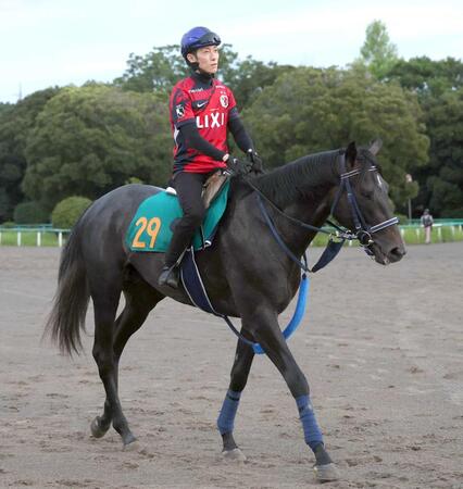 　リアライズシリウス＝２５年８月