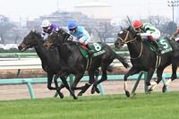 　ターコイズＳを制したドロップオブライト（左から２頭目）（青帽）＝撮影・持木克友