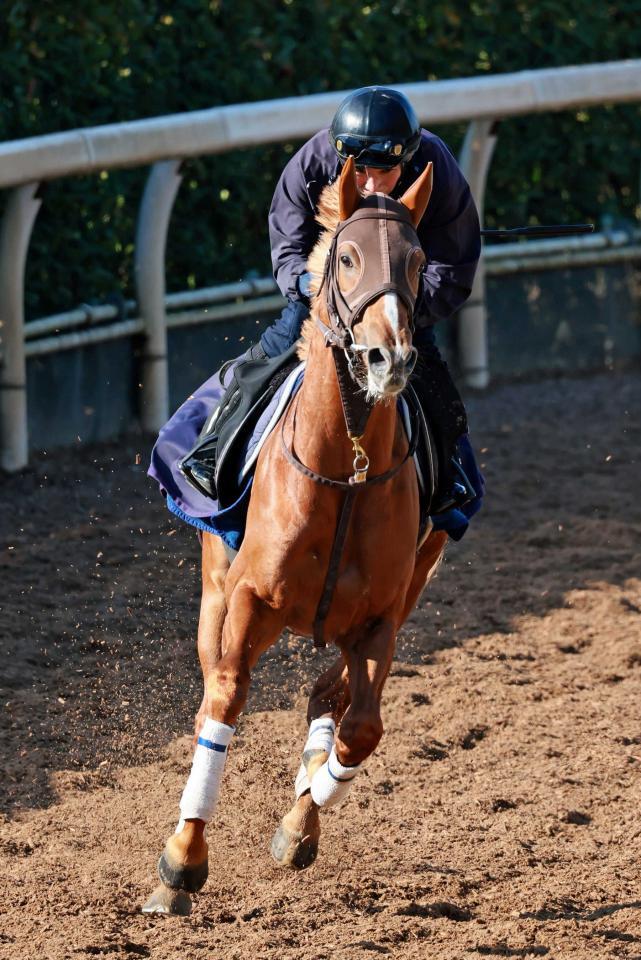 　ビザンチンドリーム＝２０２４年１月