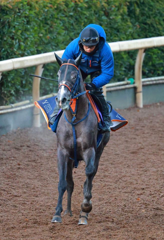 　コルテオソレイユ