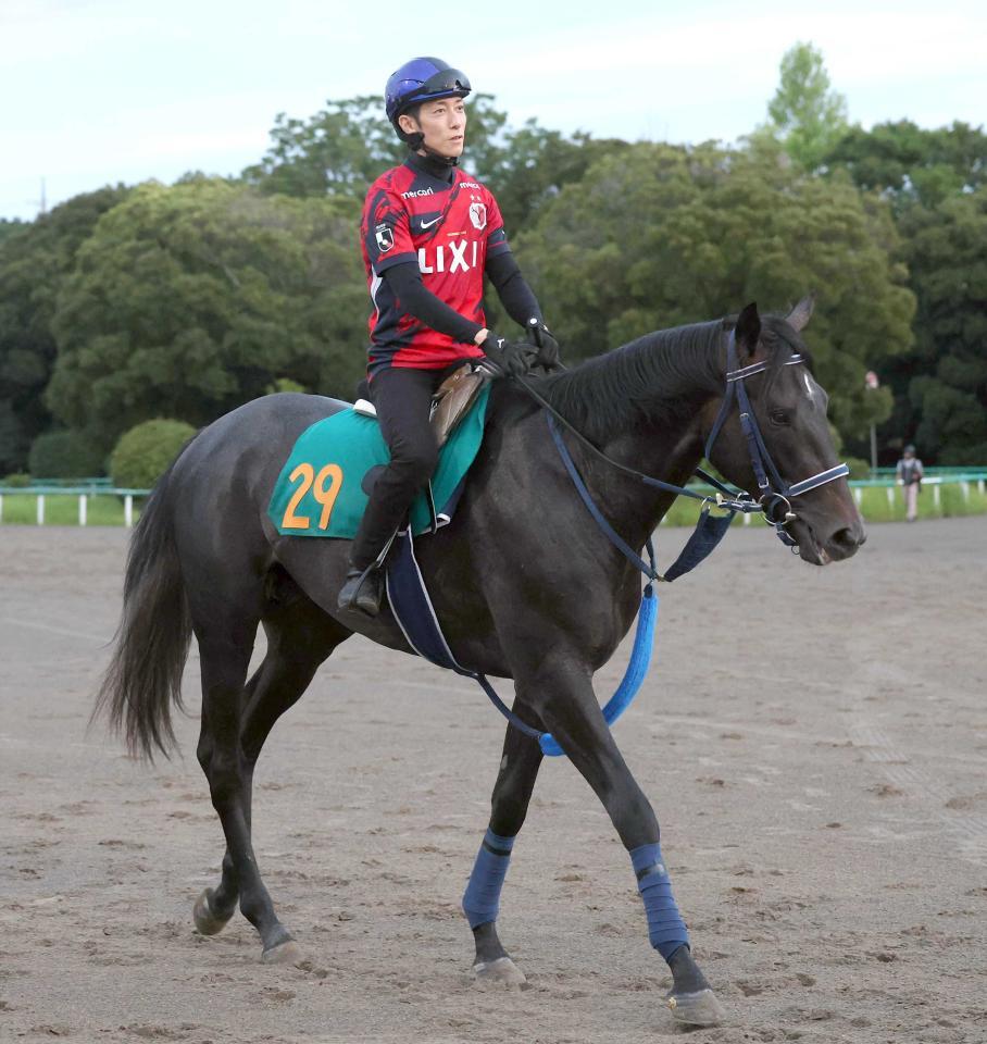 　リアライズシリウス＝２５年８月