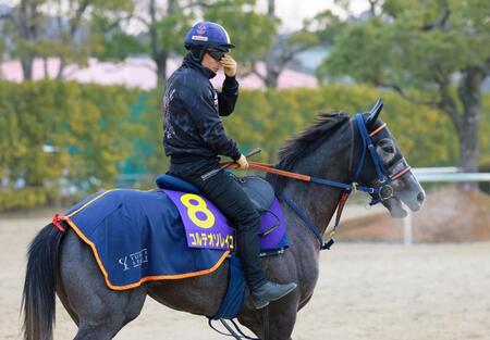 　コルテオソレイユ