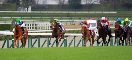 　逃げたダイヤモンドノット（左端）を捕まえにいくカヴァレリッツォ（中央）＝撮影・石湯恒介