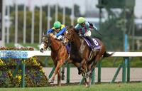 　１１Ｒ、朝日杯を制したカヴァレリッツォ。左は２着のダイヤモンドノット（撮影・中田匡峻）