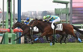 　逃げ切って制したリュクスパトロール＝撮影・持木克友