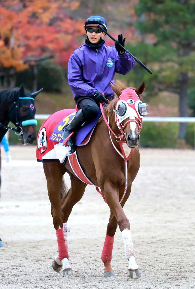 　シンエンペラー