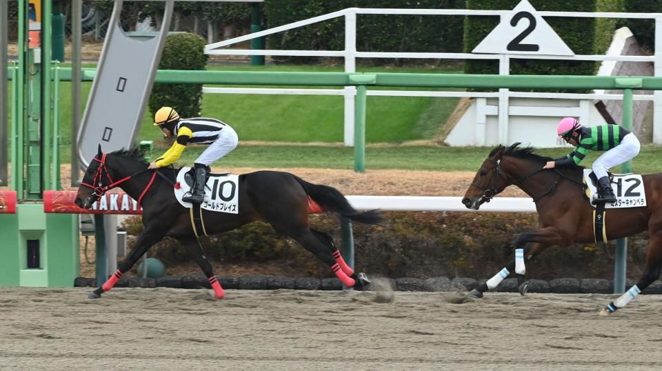 　デビューを飾ったゴールドブレイズ（撮影・持木克友）