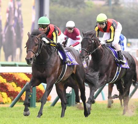 　皐月賞を制したミュージアムマイル（左）＝４月２０日