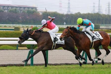 　新馬戦を快勝したトリニティ（左）＝撮影・石湯恒介