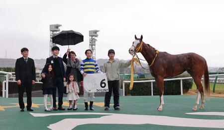 　新馬戦を快勝したワイドシュテルケ（撮影・石湯恒介）