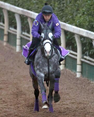 　逆襲へ向けて栗東坂路で調整を進めるアドマイヤテラ（撮影・中田匡峻）