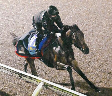 　史上初の牝馬連覇に向けて順調なレガレイラ（撮影・園田高夫）