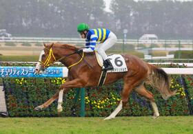 　新馬戦を快勝したワイドシュテルケ（撮影・石湯恒介）