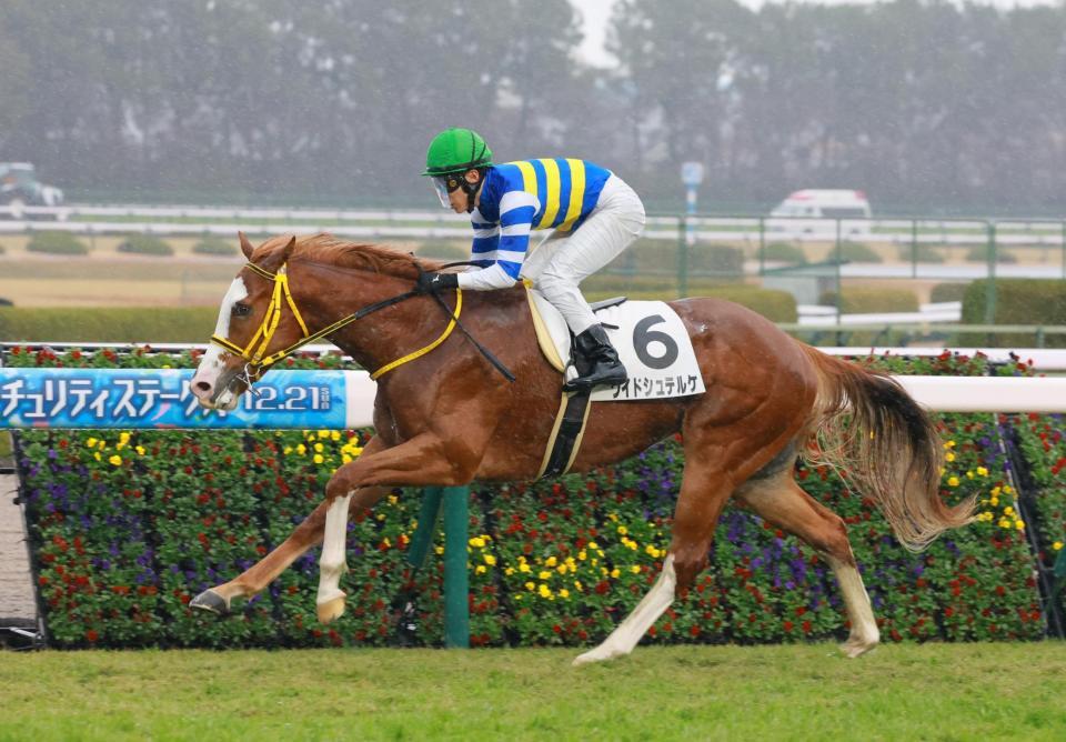 　新馬戦を快勝したワイドシュテルケ（撮影・石湯恒介）