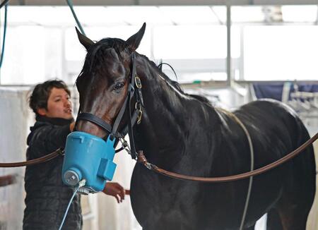 　手入れを受けるミュージアムマイル（撮影・石湯恒介）