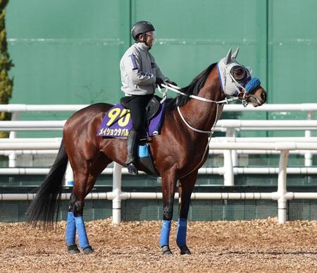 　メイショウタバル