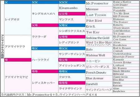 　父レイデオロ×母父ハーツクライと勢いのある血統が魅力のアドマイヤテラ