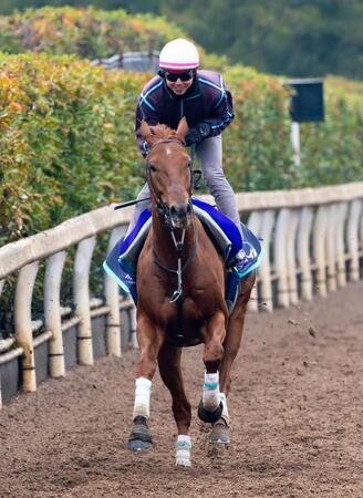 　栗東坂路で追い切るダノンデサイル（撮影・石湯恒介）