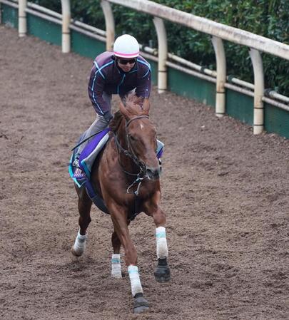 　坂路で追い切るダノンデサイル（撮影・西田忠信）