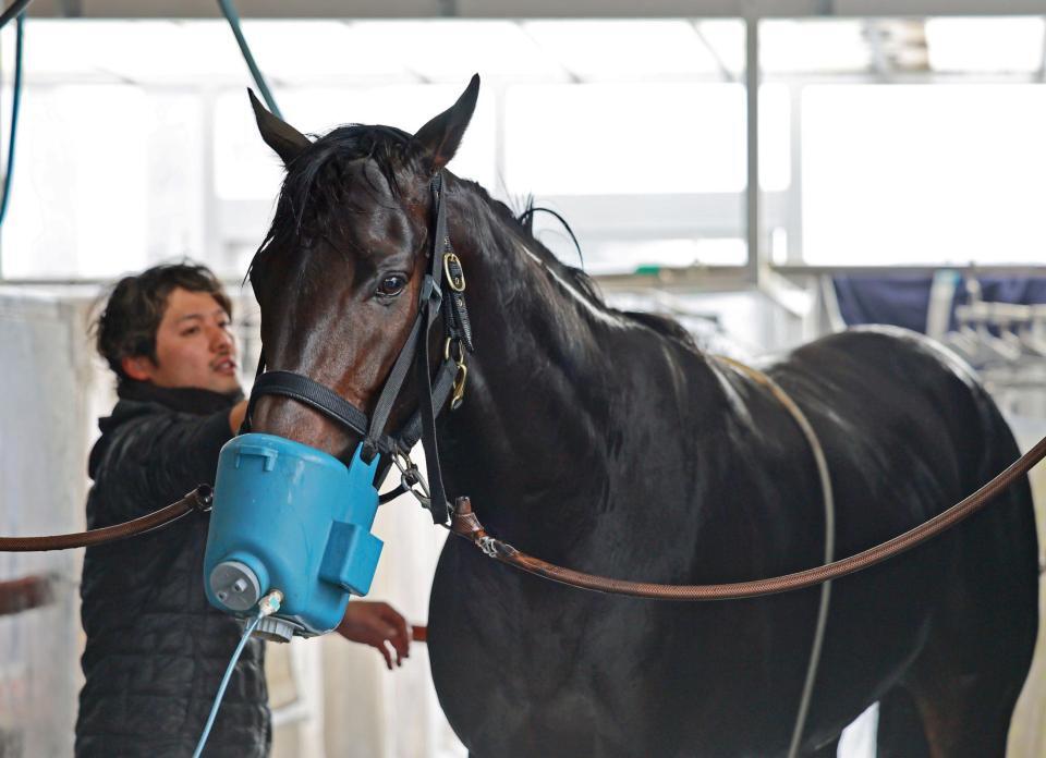 　手入れを受けるミュージアムマイル（撮影・石湯恒介）