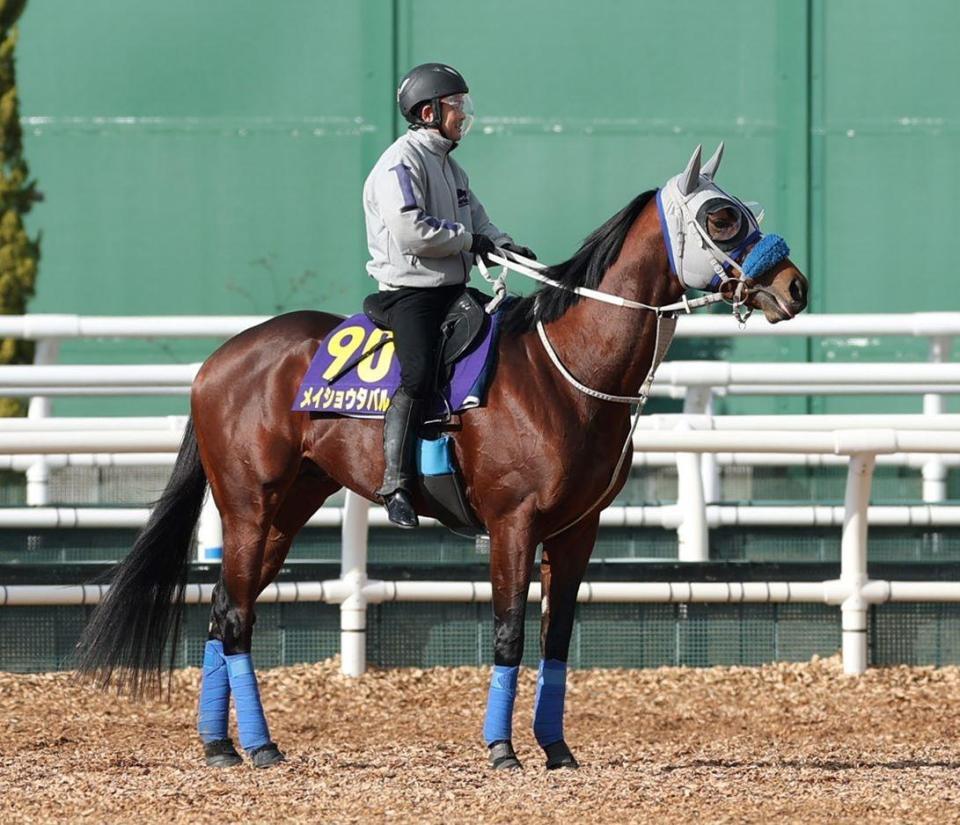 　メイショウタバル