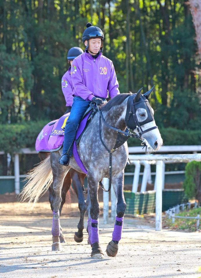 　血統的魅力も十分なアドマイヤテラ