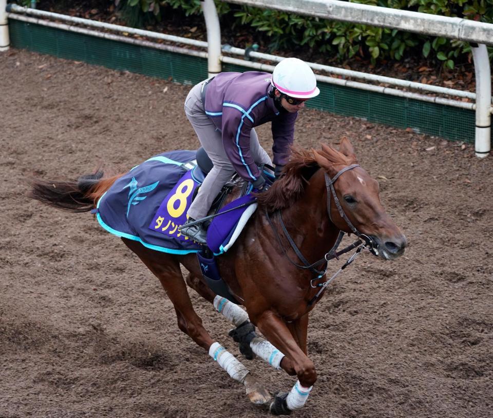 　坂路で追い切るダノンデサイル（撮影・西田忠信）