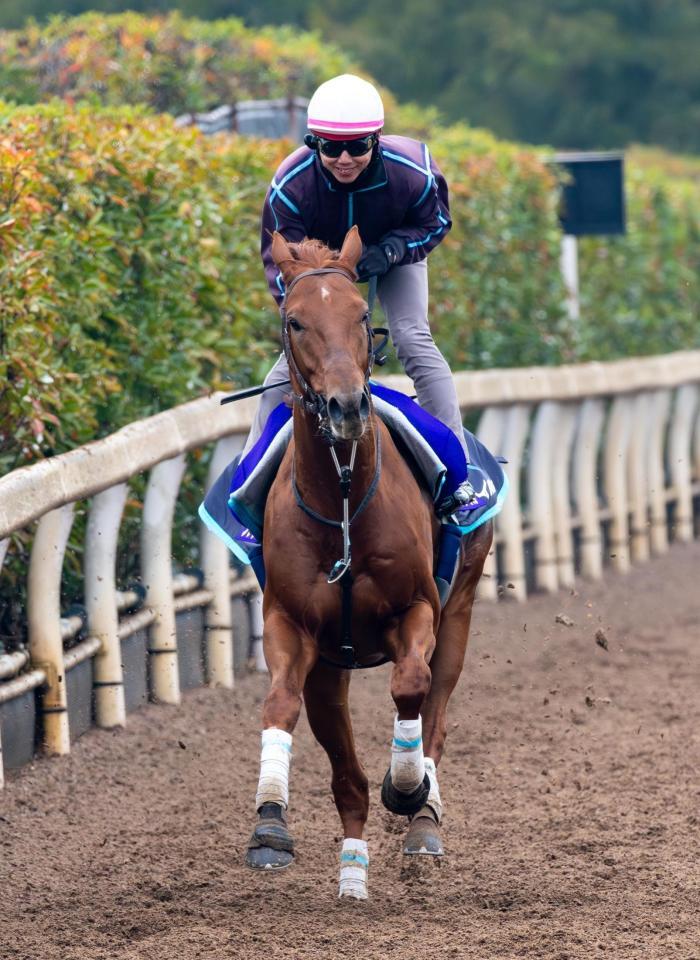 　栗東坂路で追い切るダノンデサイル（撮影・石湯恒介）
