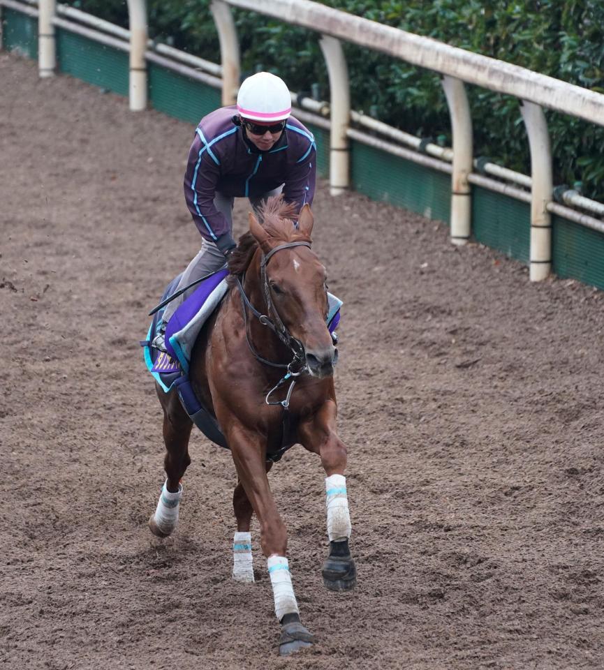 　坂路で追い切るダノンデサイル（撮影・西田忠信）