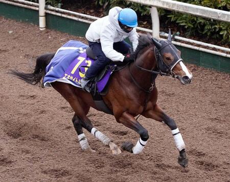 【有馬記念】エキサイトバイオ 動きいいぞ ラストの仕掛けもしっかり反応 今野師「中間も順調で成長著しい」