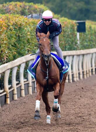 【有馬記念】ダノンデサイル　レコード決着の反動なし　安田師「より穏やかに」時計よりも精神面重視　体力面むしろ上積み